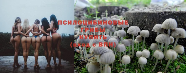 стафф Заволжье