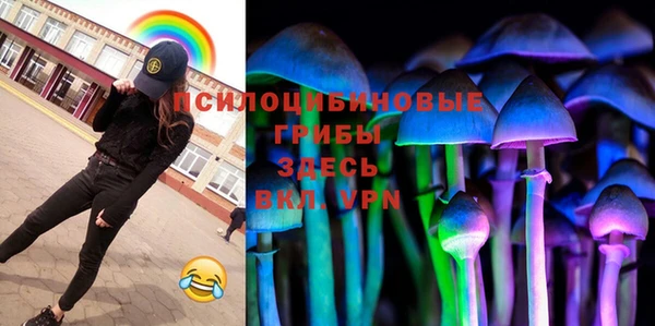 стафф Заволжье