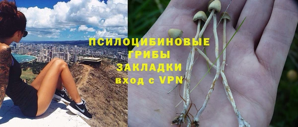 стафф Заволжье