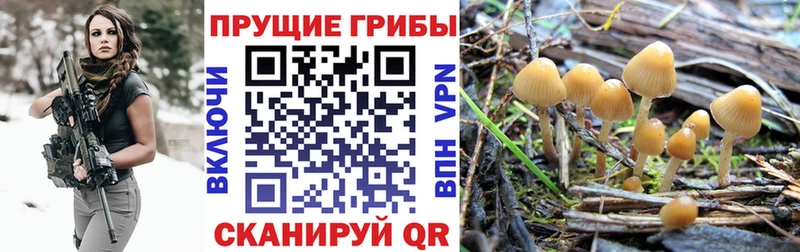 Галлюциногенные грибы Magic Shrooms Георгиевск