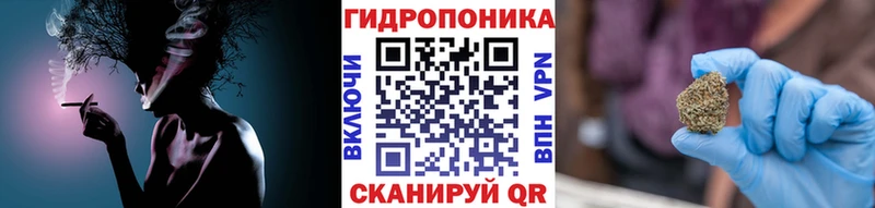 Каннабис конопля  Купить закладки  Георгиевск 